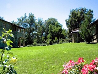 Ferienhaus Ambra Außenaufnahme 6