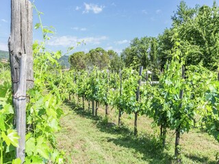 Casa per le vacanze Ambra Ambiente 34
