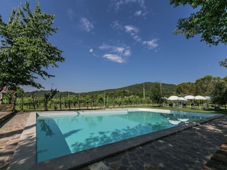 Ferienhaus Ambra Außenaufnahme 11