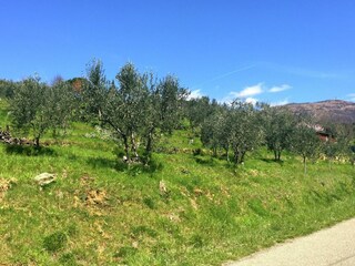 Fattoria Pian di Scò Ambiente 34