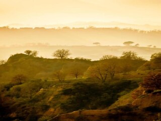 Appartement Castelfranco Piandiscò Environnement 36