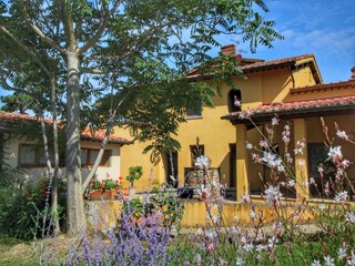 Apartment Castelfranco Piandiscò Außenaufnahme 5