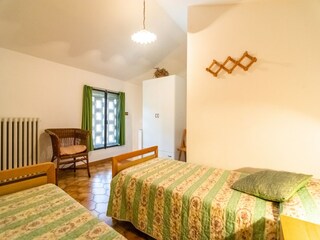 Fattoria Bucine Caratteristiche 20