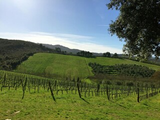 Fattoria Bucine Ambiente 32