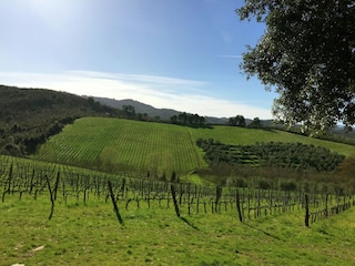 Type de propriété : Ferme Bucine Environnement 32