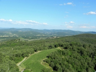 Bauernhof Bucine Umgebung 34