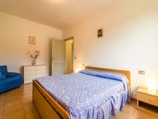 Fattoria Bucine Caratteristiche 16