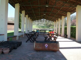 Type de propriété : Ferme Bucine  32