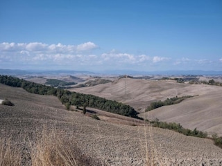 Type de propriété : Ferme Bucine Environnement 29