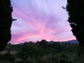 Fattoria Bucine Ambiente 36