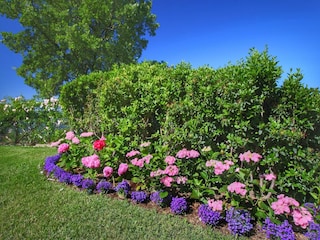 Fattoria Loro Ciuffenna Registrazione all'aperto 6