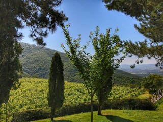 Farmhouse Loro Ciuffenna Environment 32