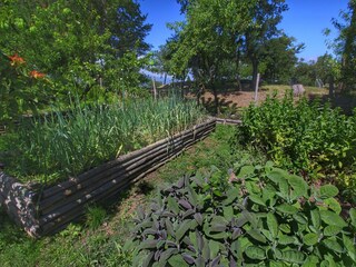 Type de propriété : Ferme Loro Ciuffenna  38