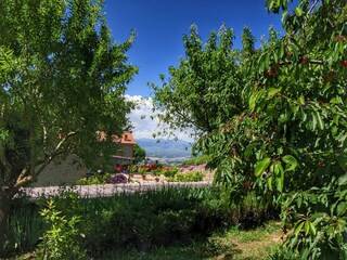 Holiday cottage Loro Ciuffenna Outdoor Recording 6