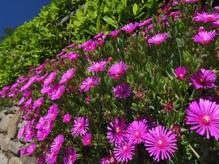 Casa vacanze Loro Ciuffenna  39