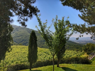 Holiday cottage Loro Ciuffenna Environment 32