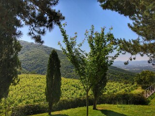 Vakantiehuisje Loro Ciuffenna Omgeving 32