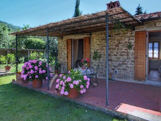 Fattoria Loro Ciuffenna Registrazione all'aperto 2