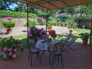 Farmhouse Loro Ciuffenna Outdoor Recording 12