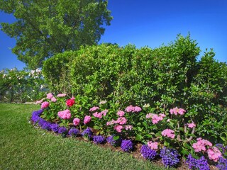 Farmhouse Loro Ciuffenna Outdoor Recording 15