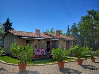 Type de propriété : Ferme Loro Ciuffenna Enregistrement extérieur 14