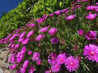 Bauernhof Loro Ciuffenna  30
