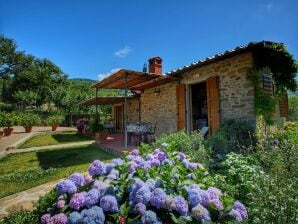 Ferme à Loro Ciuffenna avec piscine - Loro Ciuffenna - image1