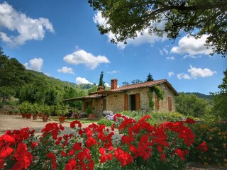 Fattoria Loro Ciuffenna Registrazione all'aperto 8