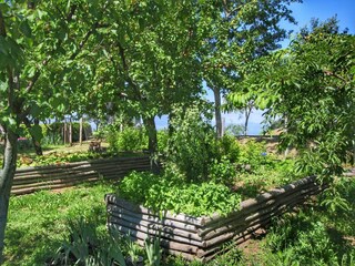 Type de propriété : Ferme Loro Ciuffenna  36