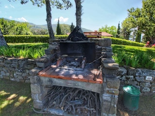 Fattoria Loro Ciuffenna  38