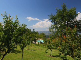 Bauernhof Loro Ciuffenna Außenaufnahme 3