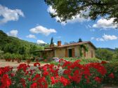 Fattoria Loro Ciuffenna Registrazione all'aperto 1