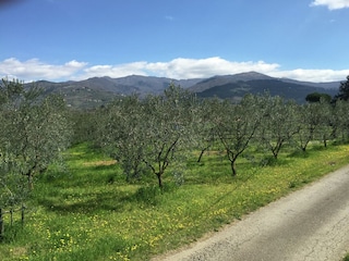 Landhaus Pian di Scò Außenaufnahme 11