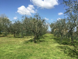 Casa de campo Pian di Scò Grabación al aire libre 8