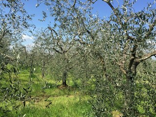 Casa de campo Pian di Scò Grabación al aire libre 13