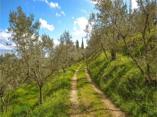 Vakantiehuisje Pian di Scò Omgeving 21