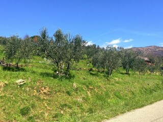 Vakantiehuisje Pian di Scò Omgeving 24