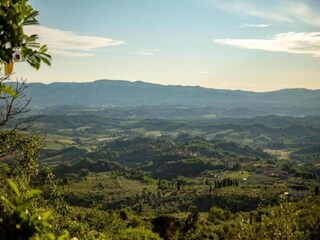 Casa de campo Pian di Scò Entorno 37
