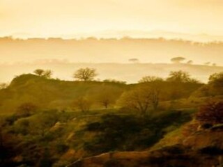 Vakantiehuisje Pian di Scò Omgeving 32