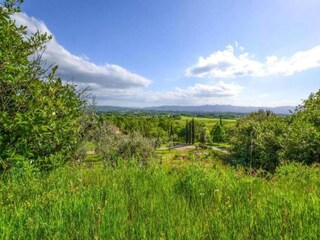 Vakantiehuisje Pian di Scò Omgeving 37