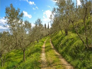 Casale Pian di Scò Ambiente 23