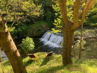 Casale Pian di Scò Ambiente 26