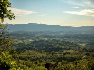 Type de propriété : Chalet Pian di Scò Environnement 29