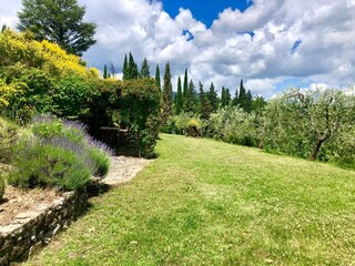 Holiday cottage Chiassa Superiore Outdoor Recording 19