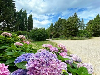 Cottage Chiassa Superiore Außenaufnahme 15