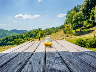 Appartamento Caprese Michelangelo  36