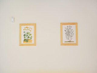 Appartement Caprese Michelangelo  35