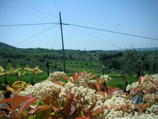 Appartamento Caprese Michelangelo Ambiente 26