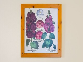 Appartamento Caprese Michelangelo  26