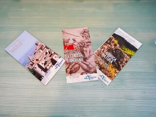 Appartamento Caprese Michelangelo  29